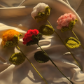 Single Rose Stick
