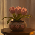 Tulip Big Pot